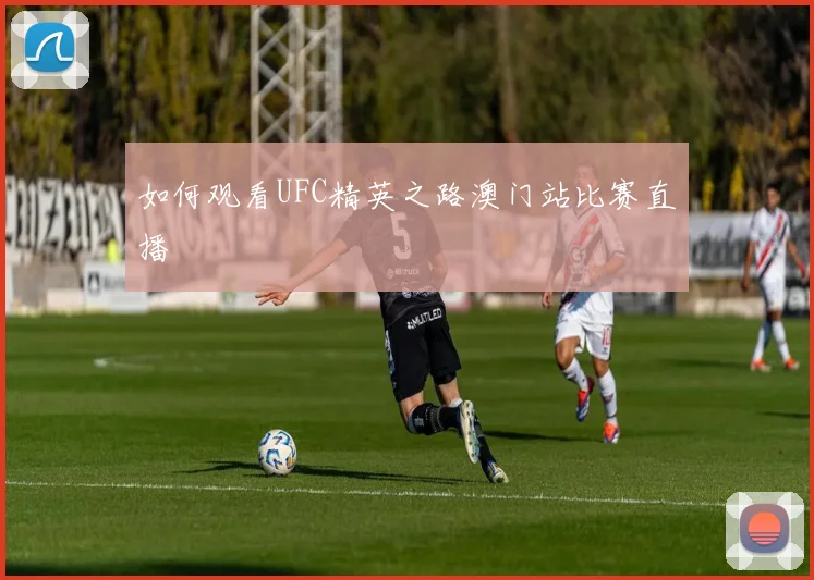 如何观看UFC精英之路澳门站比赛直播