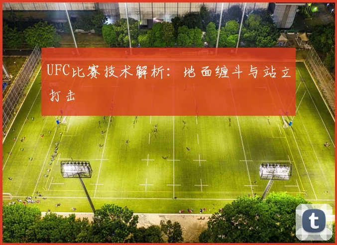 UFC比赛技术解析：地面缠斗与站立打击