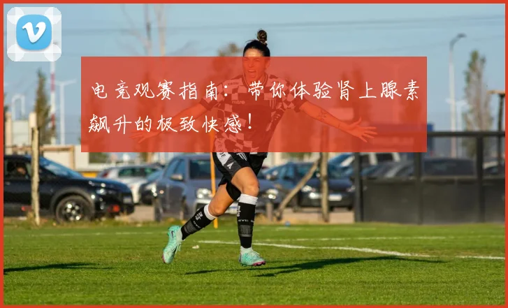 电竞观赛指南：带你体验肾上腺素飙升的极致快感！