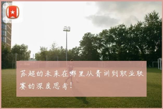 苏超的未来在哪里从青训到职业联赛的深度思考！