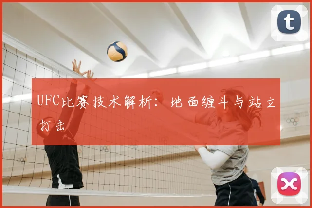 UFC比赛技术解析：地面缠斗与站立打击